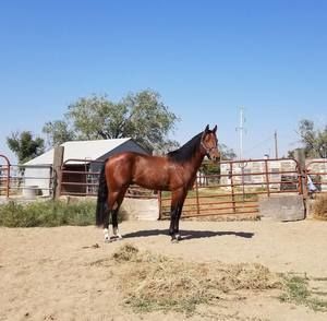 Meet your Posher, Roberta